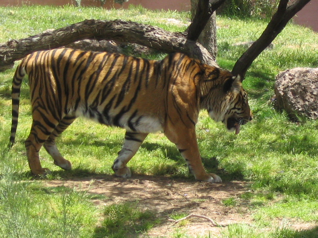 618x457 pixels (254K)